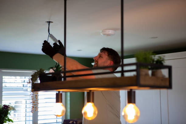 Best Electric Panel Repair  in Wickliffe, OH